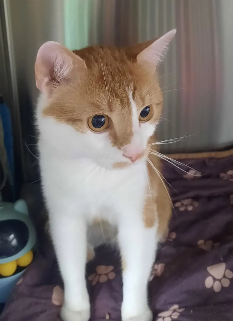 Fundkater vom 03.07.2026