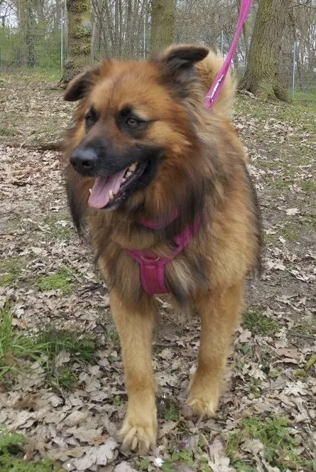 Spike, Foto 4