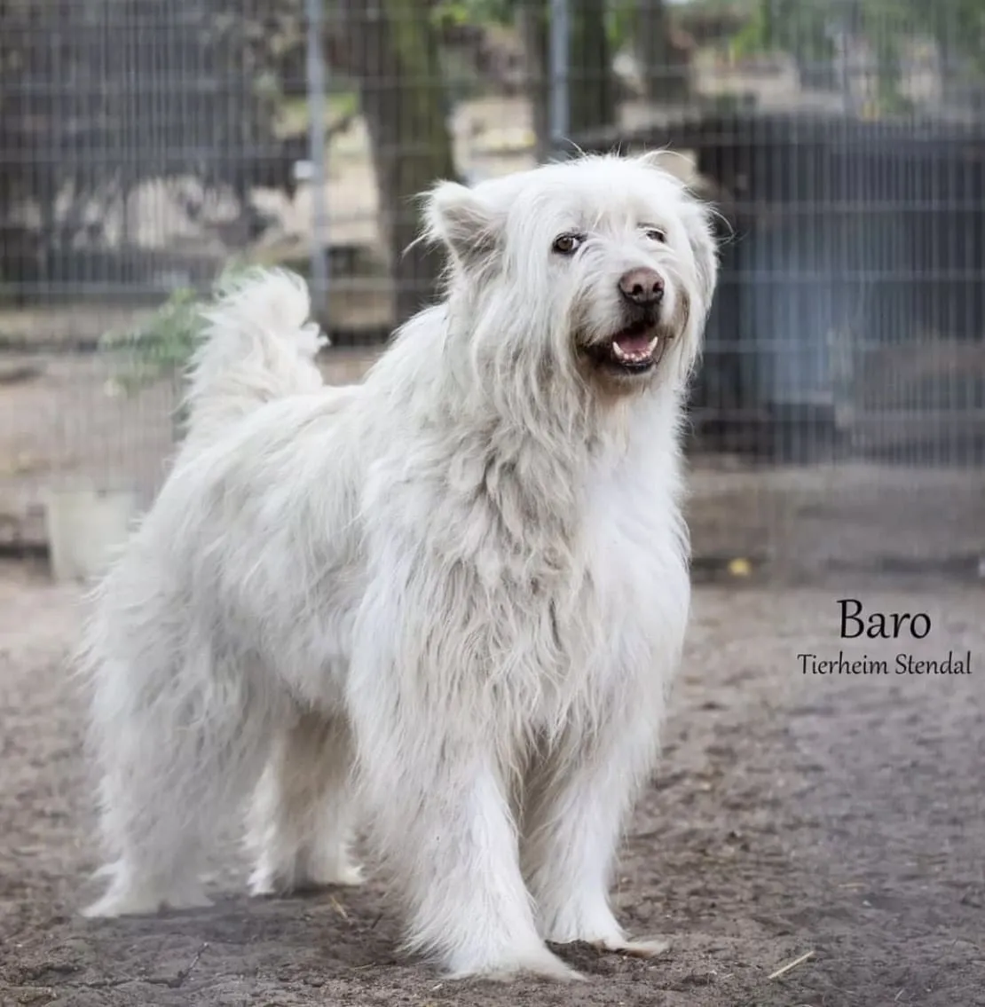 Baro