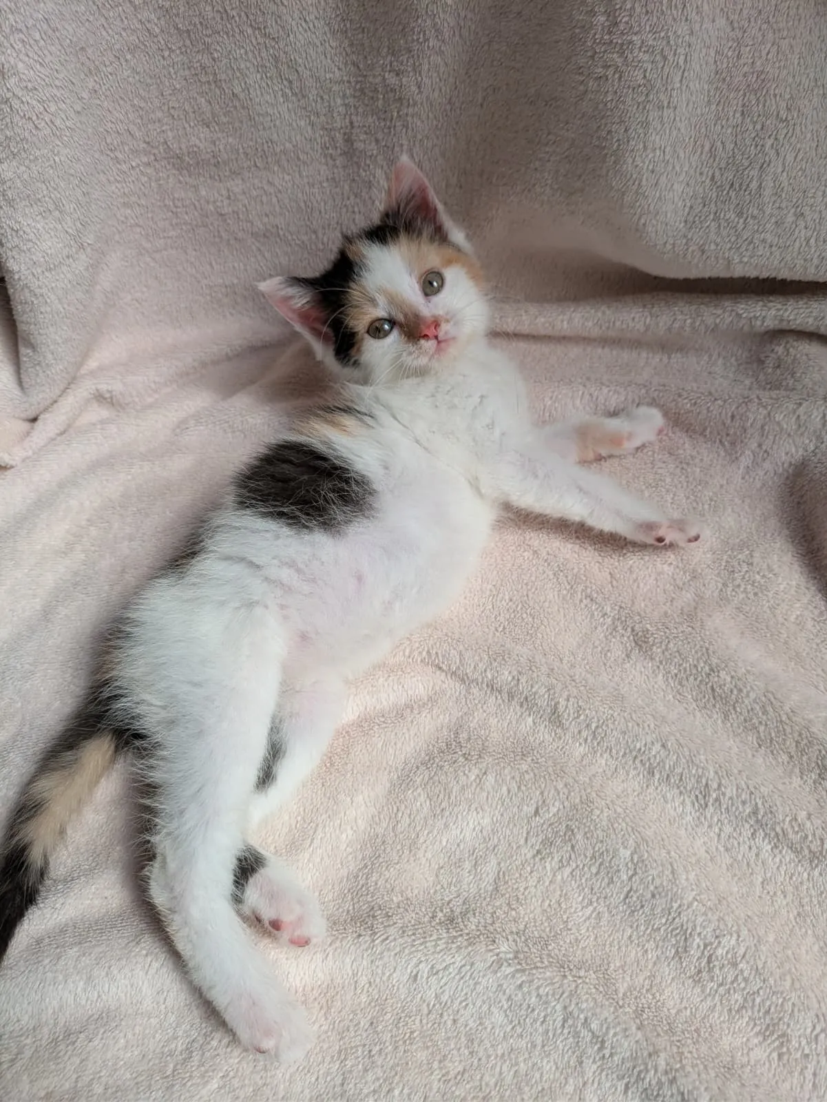 Mila, Foto 6