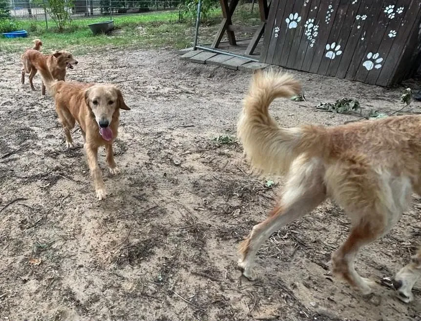 Enzo, Enno & Nero, Foto 12