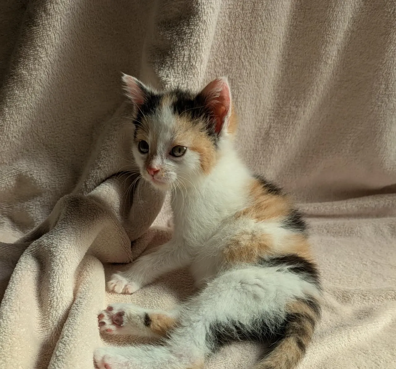 Mila