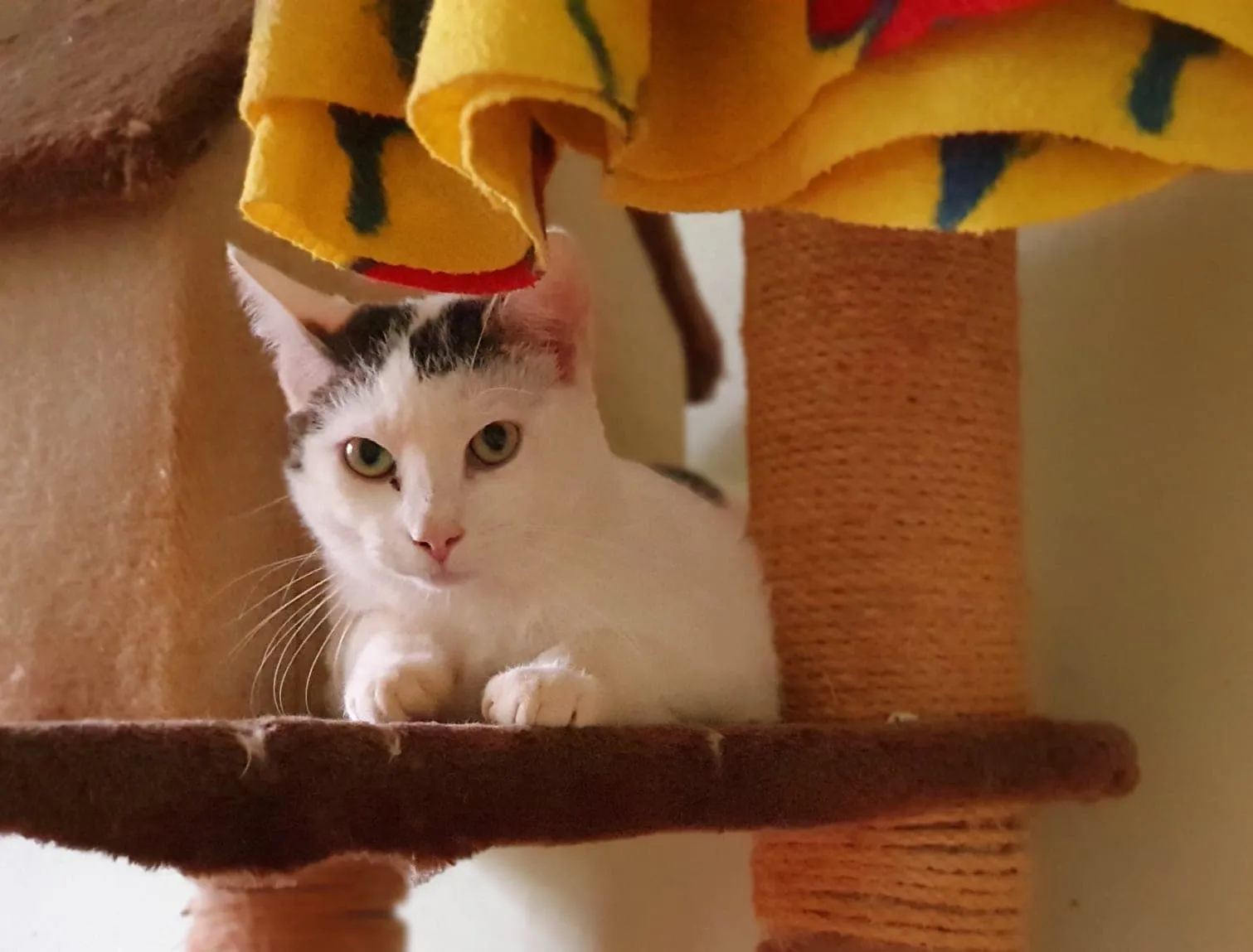 Bruno, Foto 4
