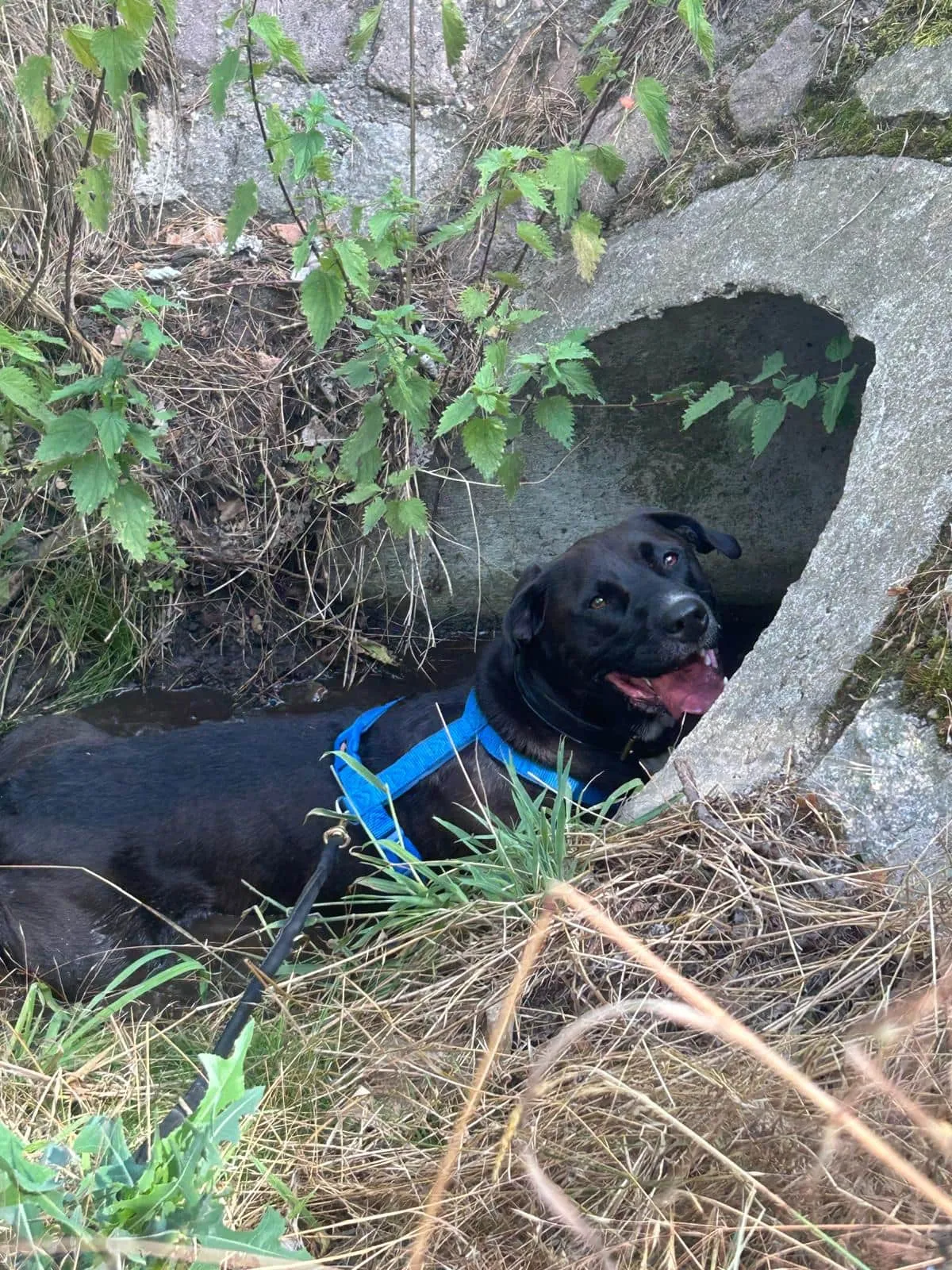 Pablo, Foto 5