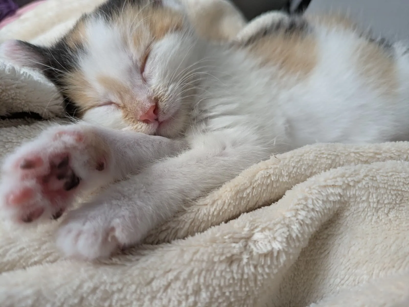 Mila, Foto 5