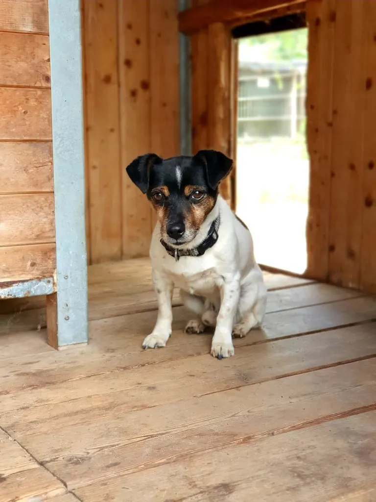 Max