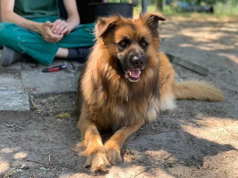 Spike, Foto 8