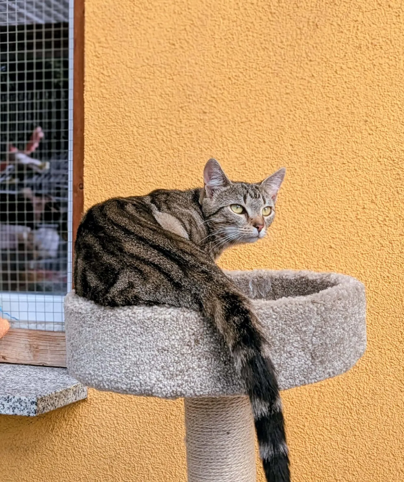 Flora, Foto 5