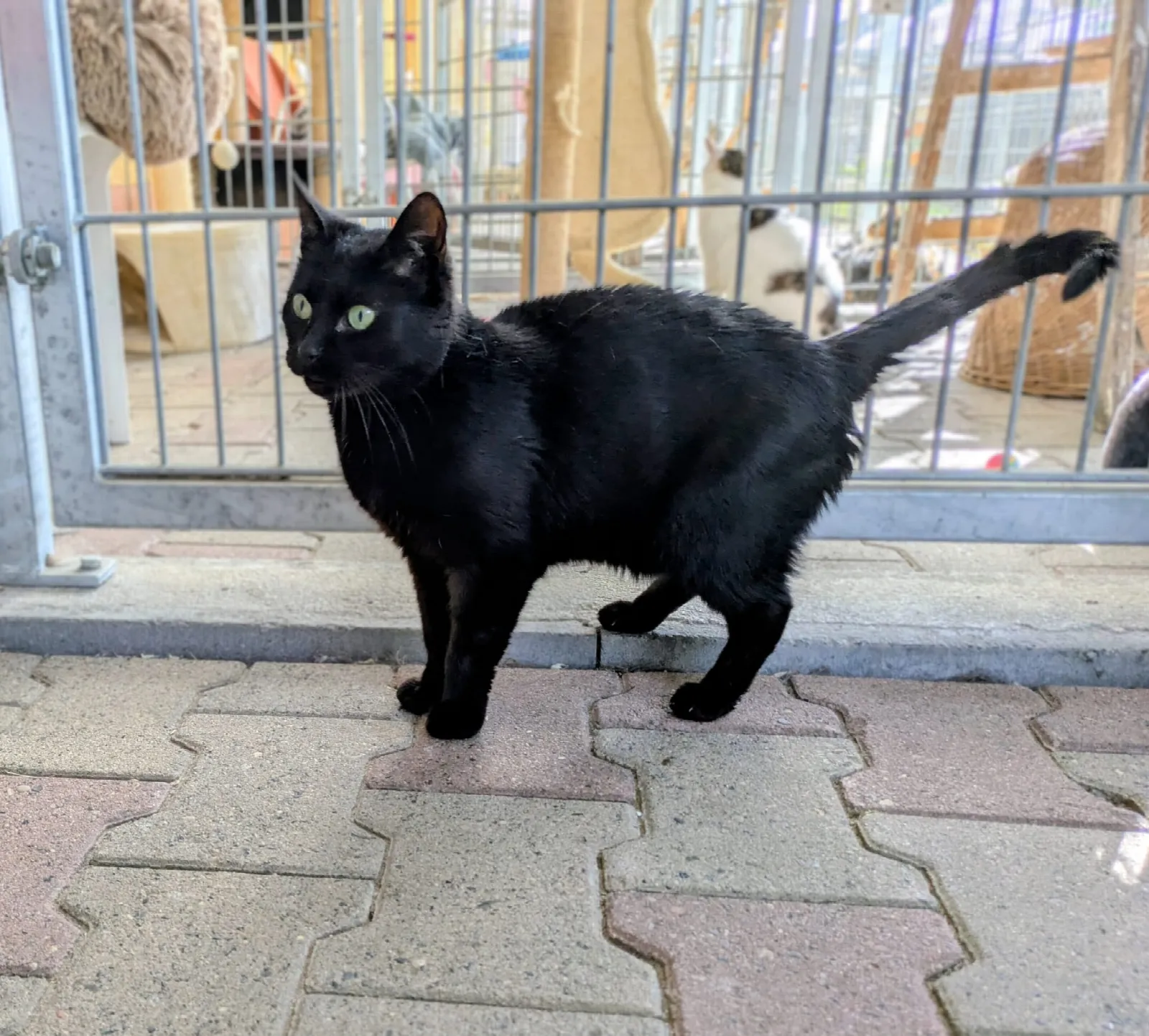 Selina, Foto 4