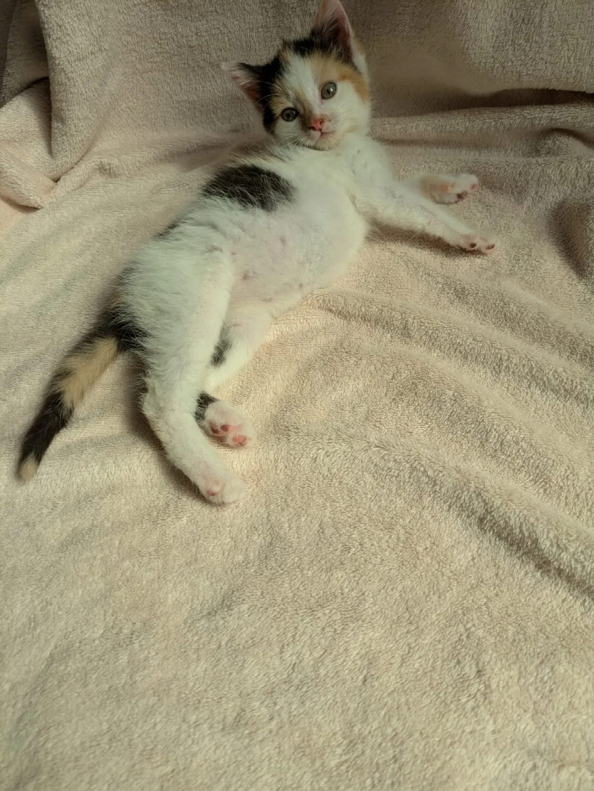 Mila, Foto 8