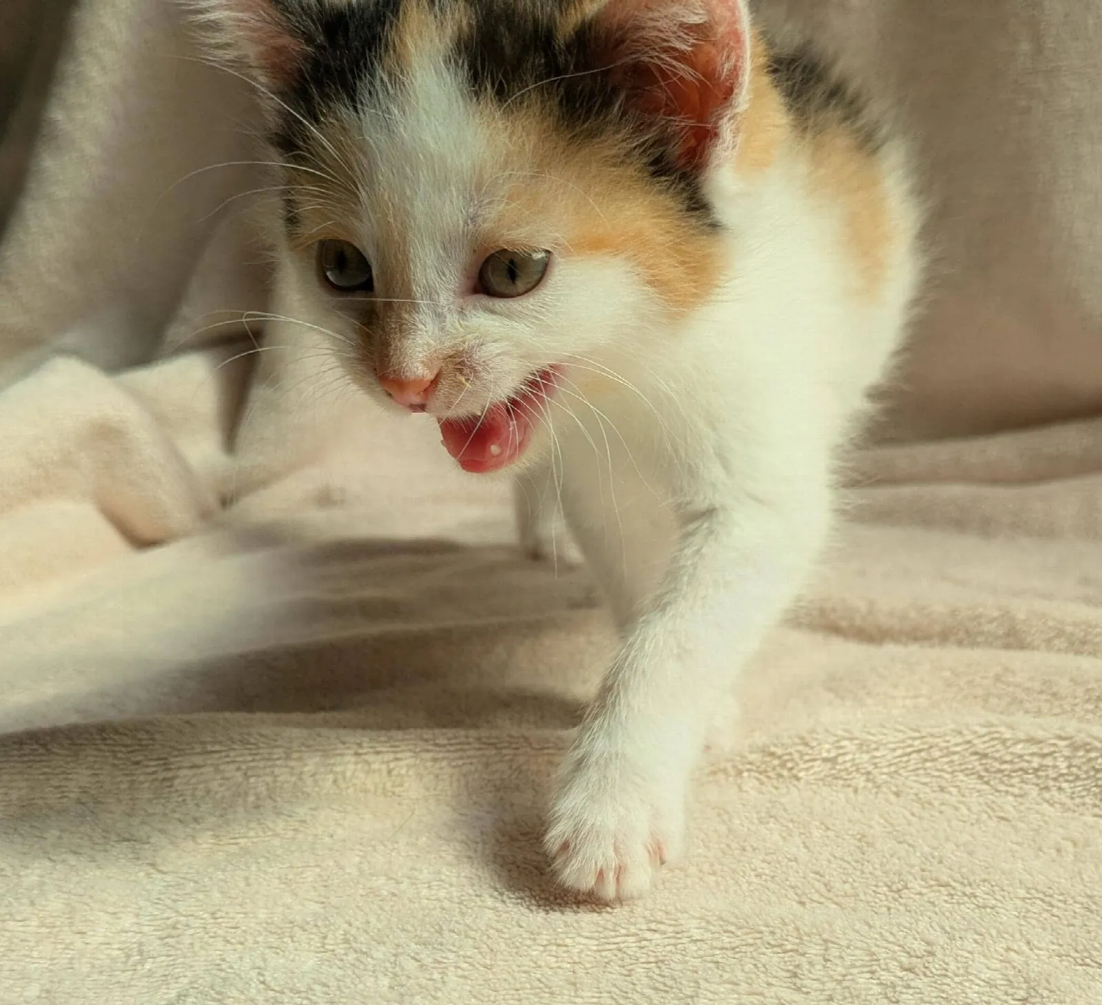 Mila, Foto 3