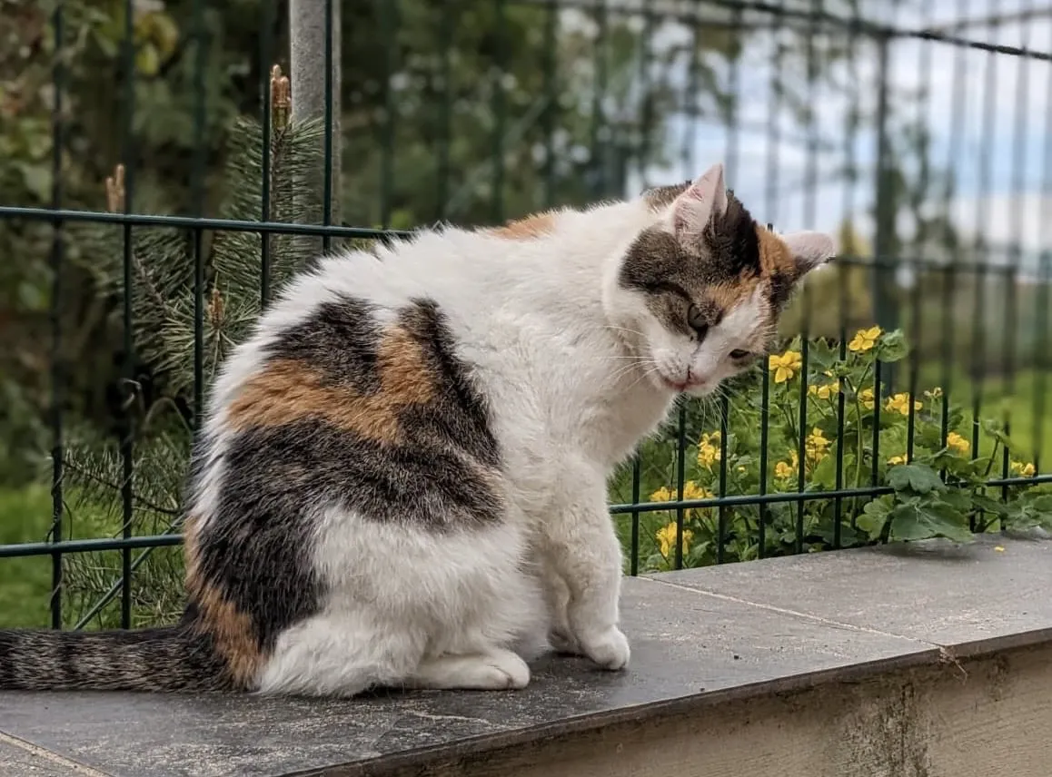 Liesbeth, Foto 8