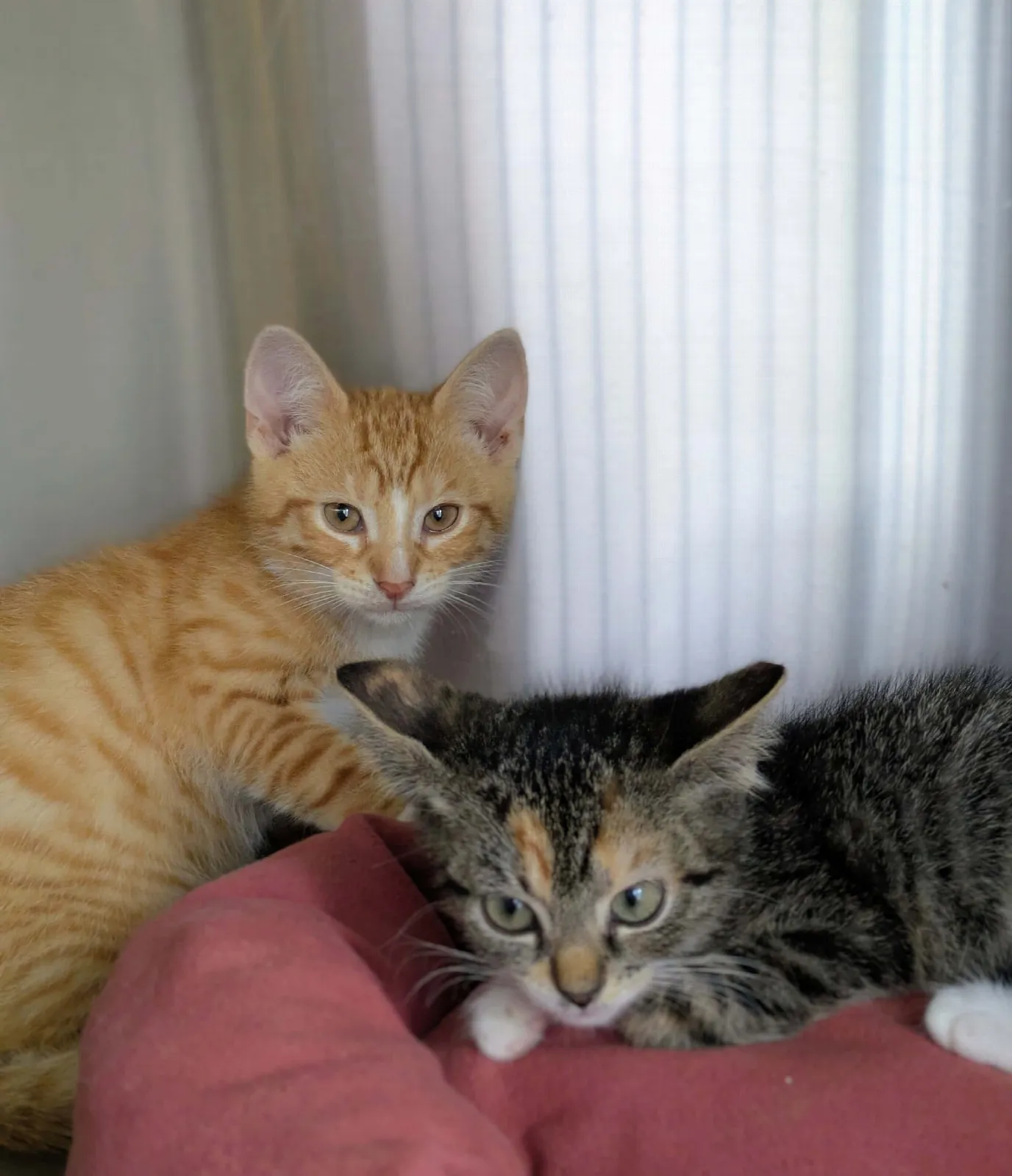 Ursel, Rudi & Udo, Foto 7