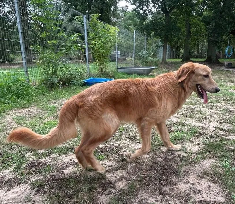 Enzo, Enno & Nero, Foto 13