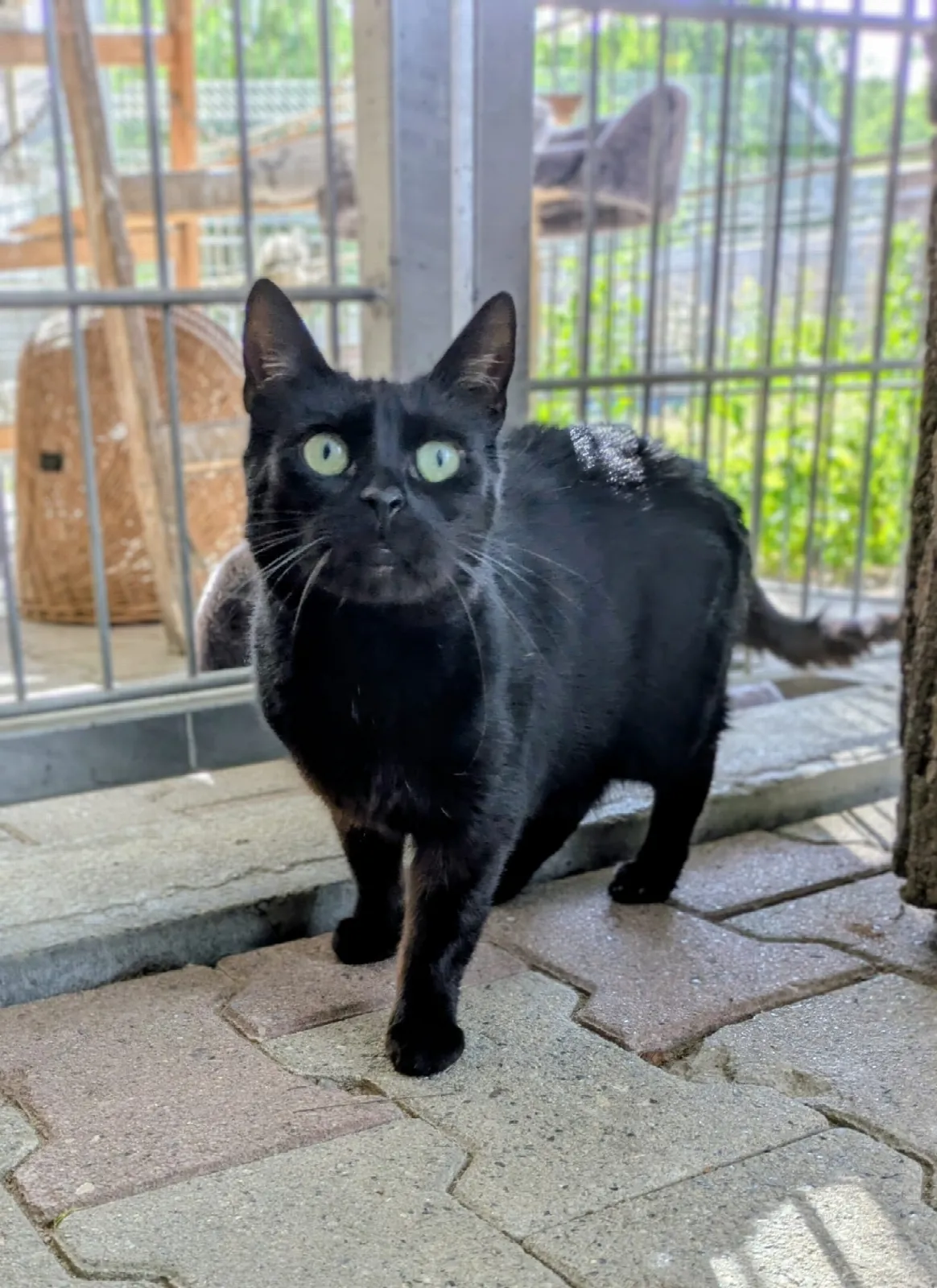 Selina, Foto 3