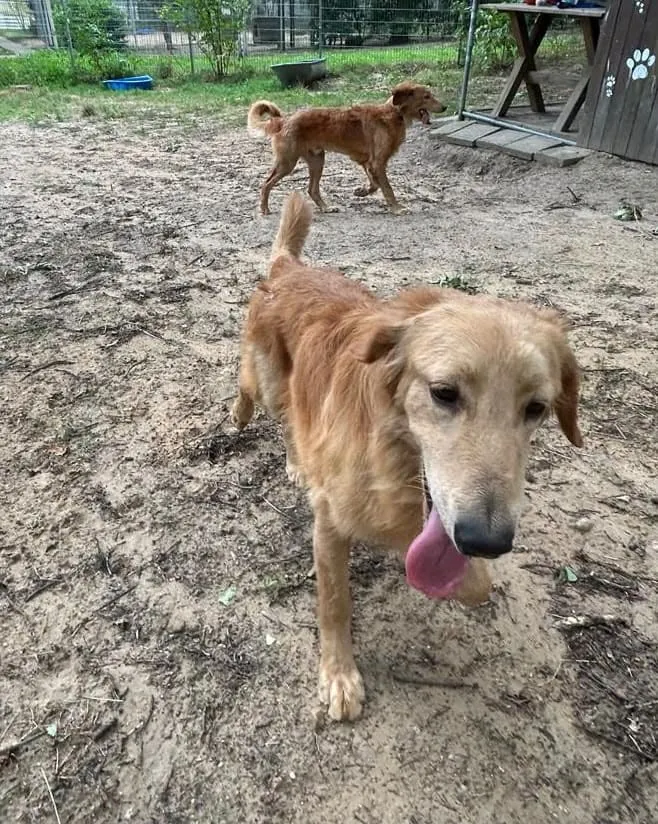 Enzo, Enno & Nero, Foto 16