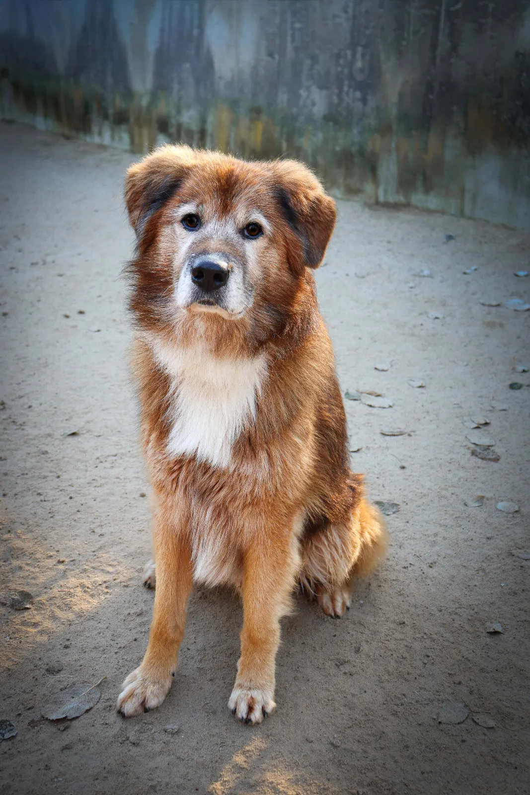 Jimmy-Lee, Foto 11