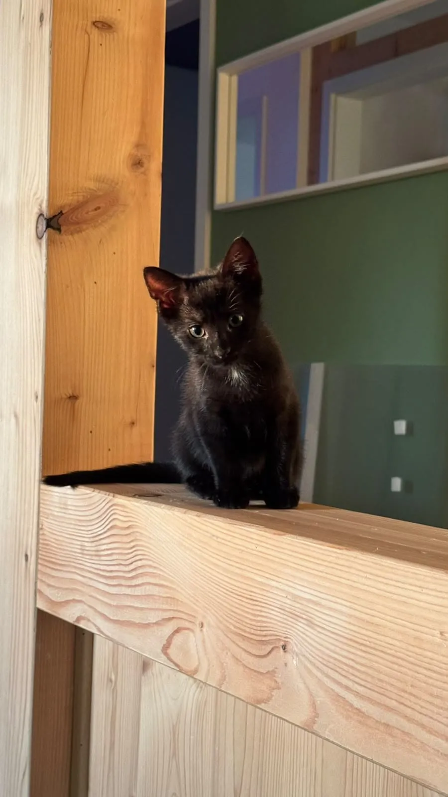 Nori, Foto 9