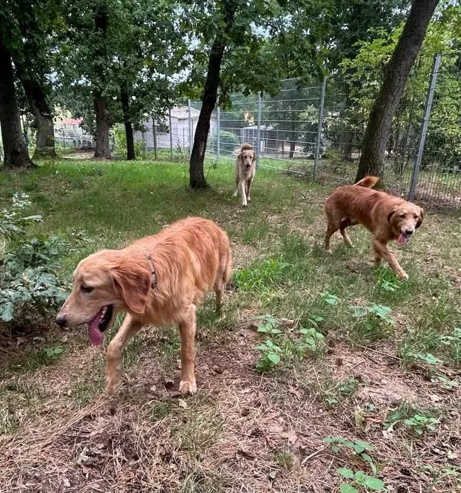 Enzo, Enno & Nero, Foto 14