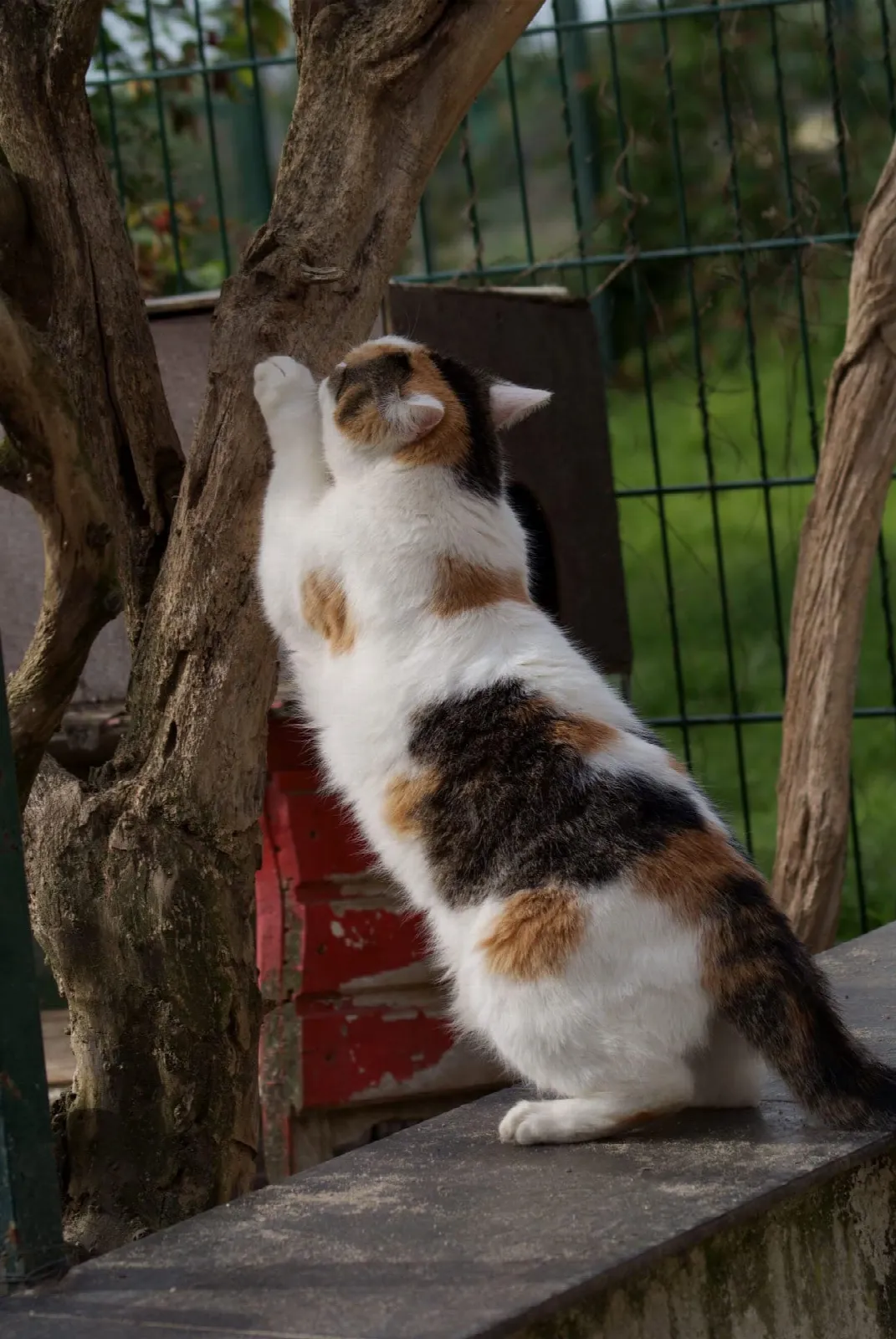 Liesbeth, Foto 3