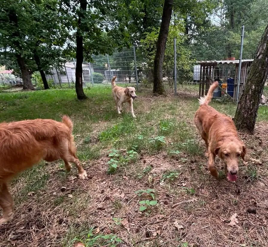 Enzo, Enno & Nero, Foto 15