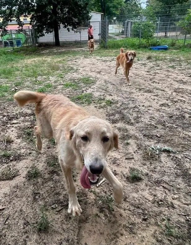 Enzo, Enno & Nero, Foto 11