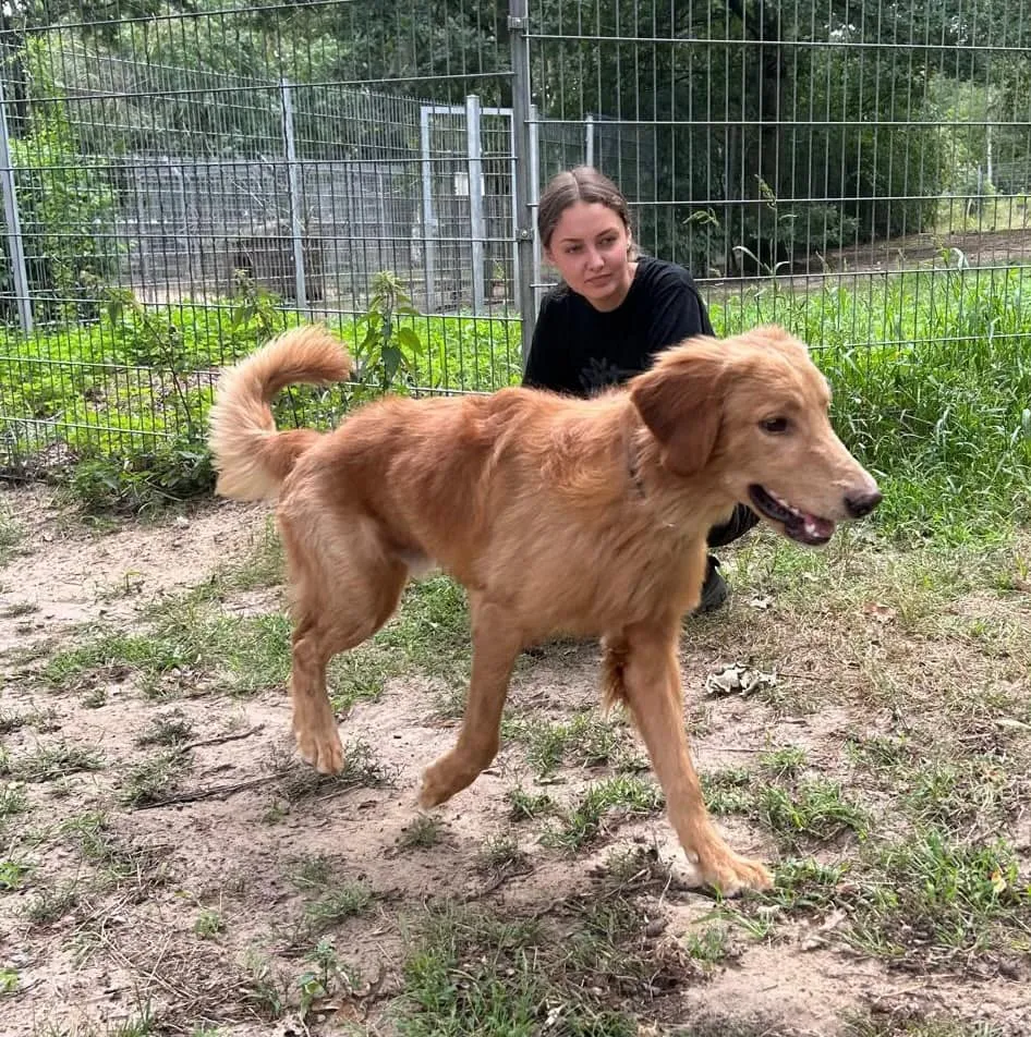 Enzo, Enno & Nero, Foto 6