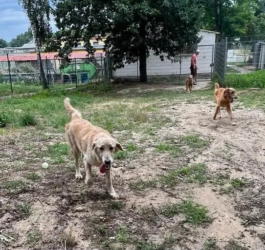 Enzo, Enno & Nero, Foto 10