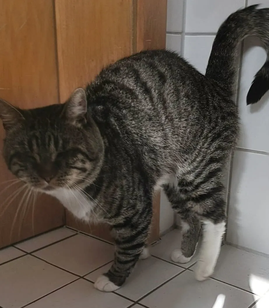 Fundkater vom 11.09.2026