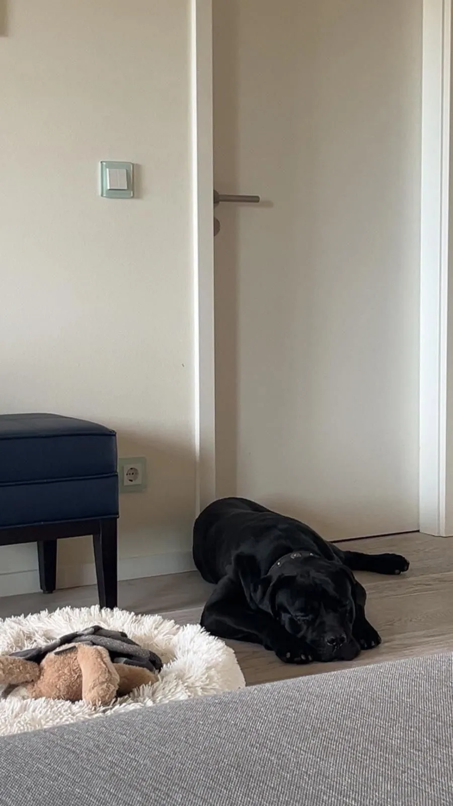 Vito, Foto 7