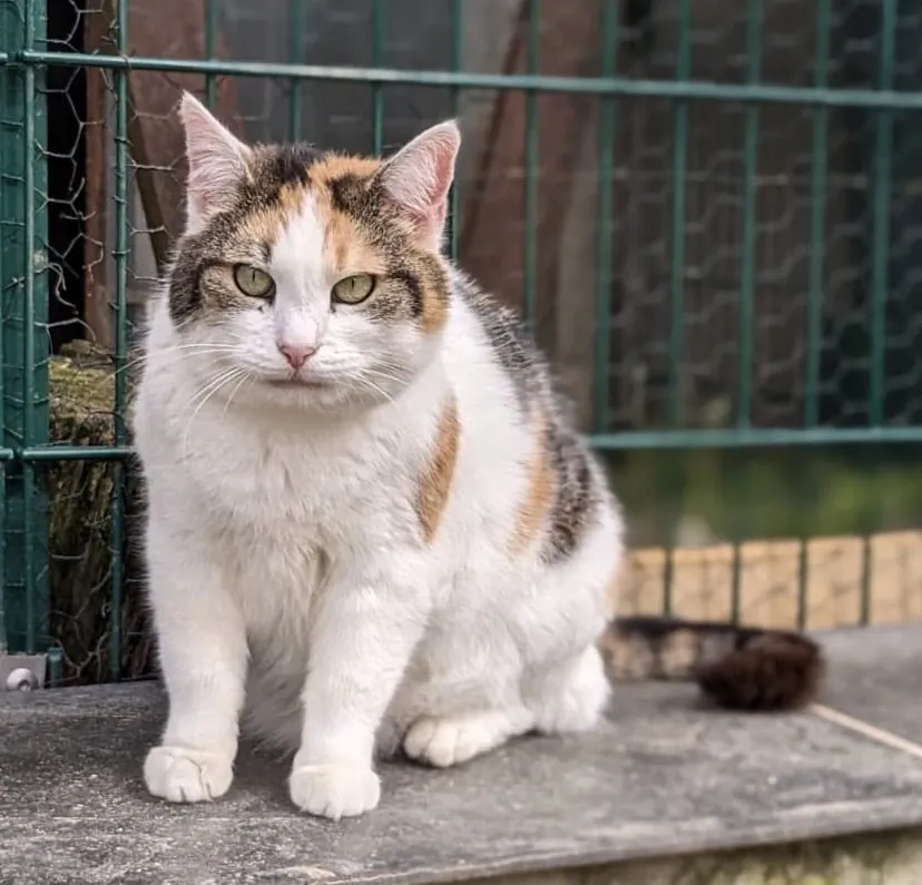 Liesbeth, Foto 6