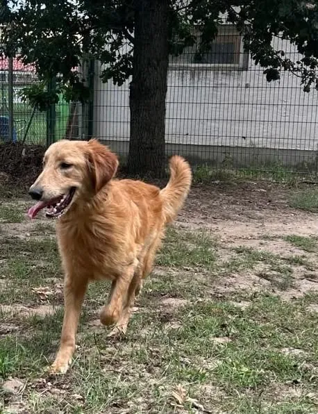 Enzo, Enno & Nero, Foto 3
